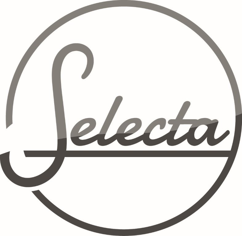 Poêles à bois Selecta
